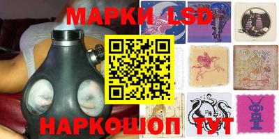 гидропоника Камышлов