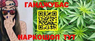 гидропоника Камышлов