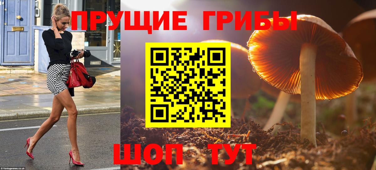 наркотики  Вход с VPN  Люберцы  Галлюциногенные грибы Psilocybe  Галлюциногенные грибы мицелий 